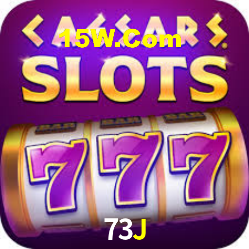 73j.com