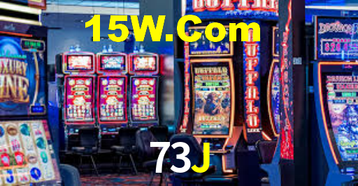 73j.com