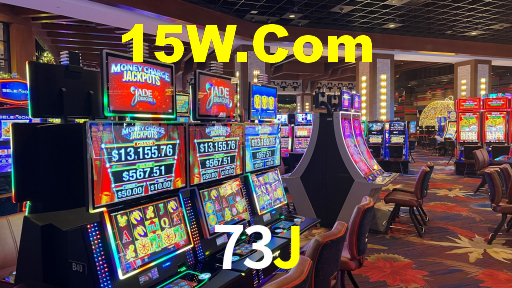 73j.com