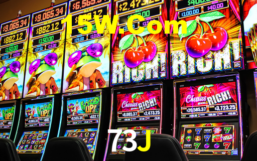 73j.com